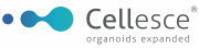 cellesce-announces-license-agreement-with-hubrecht-organoid-technology-hub-for-the-expansion-of-breast-cancer-organoids-at-scale